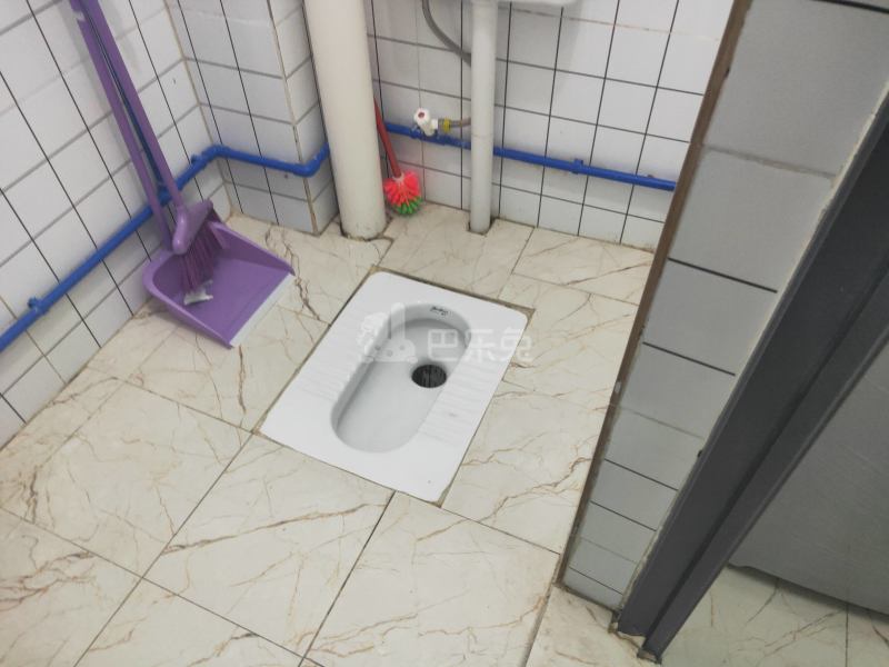 棠景街道棠溪村四马通津路16号8347947卫生间图4