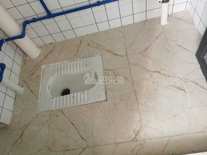 棠景街道棠溪村四马通津路16号8347953卫生间图18