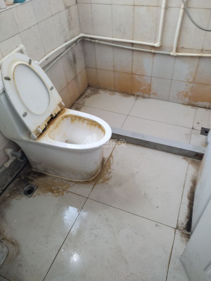 华泾绿苑5185804卫生间图6