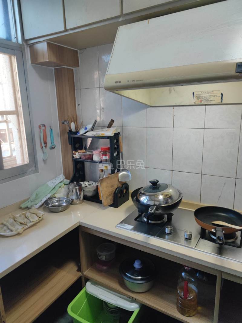 潼港八村8376527厨房图4