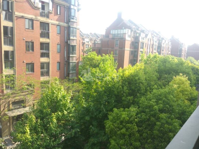 美兰湖中华园8635864周边环境图7