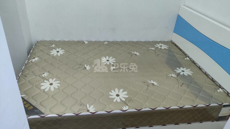 横滘村五约四巷3号8405430卧室图3