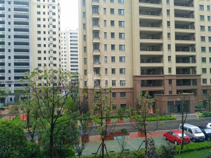 上海远洋万和四季8848822周边环境图9