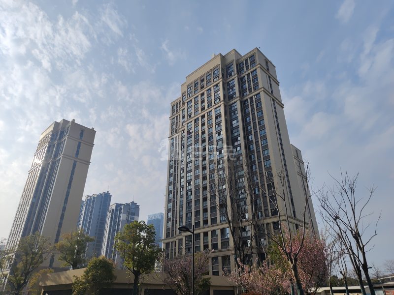 新中南家园8412111周边环境图10