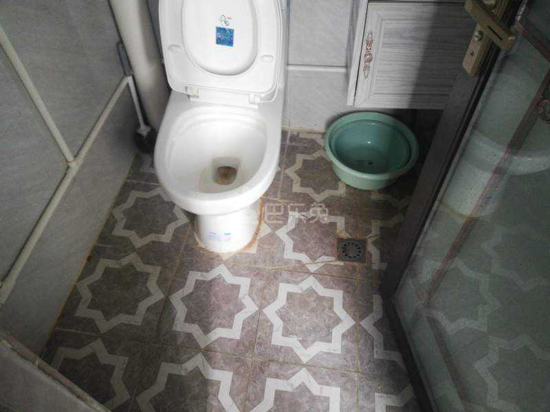 沙东街天平架三巷11号之一8438710卫生间图7