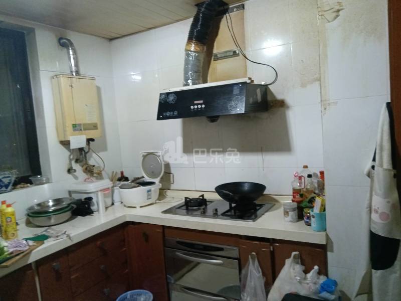 虹叶花苑3027706厨房图11