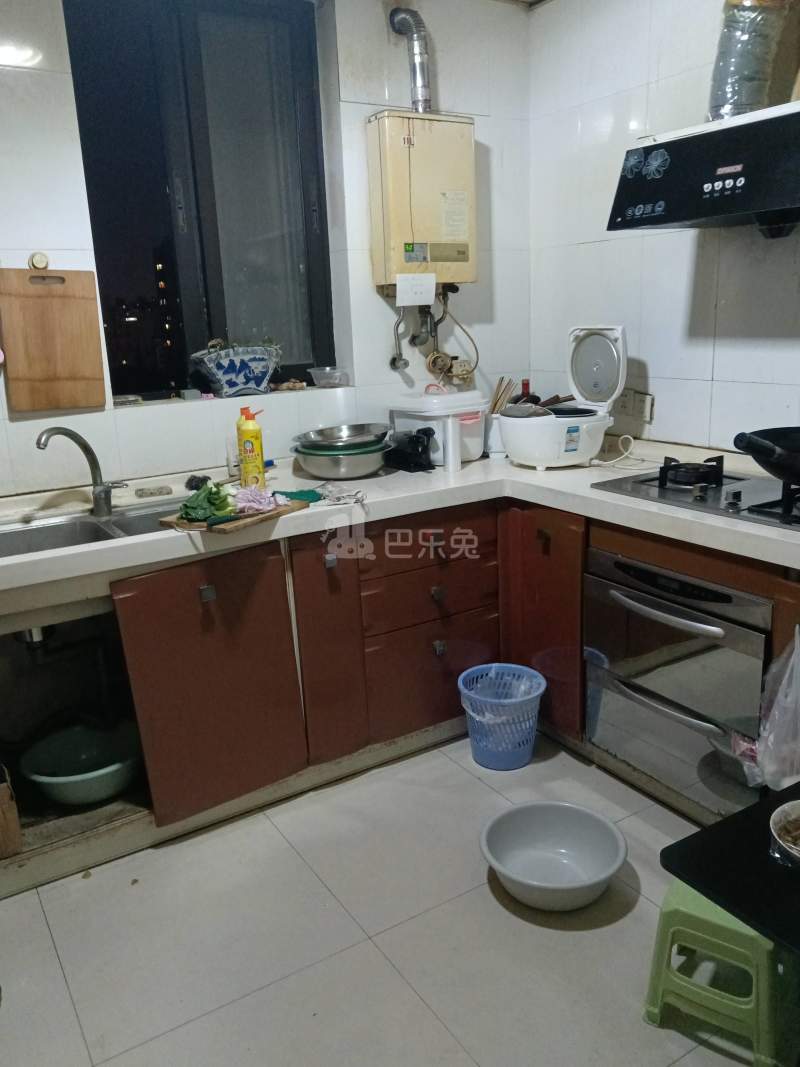 虹叶花苑3027706厨房图10