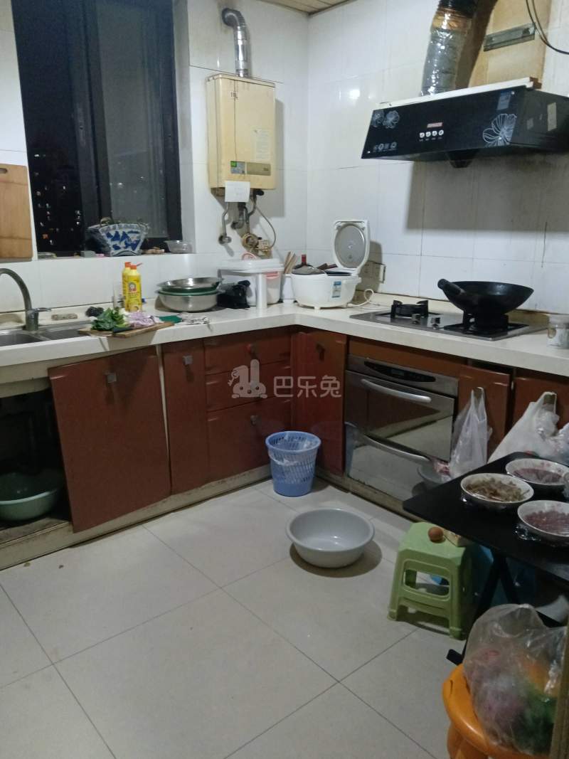虹叶花苑3027706厨房图9