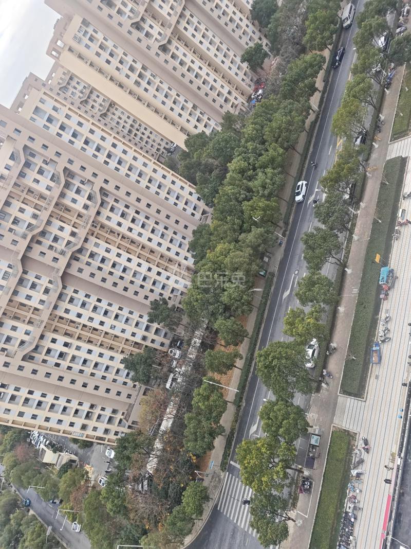 欣乐苑东苑8454687周边环境图7