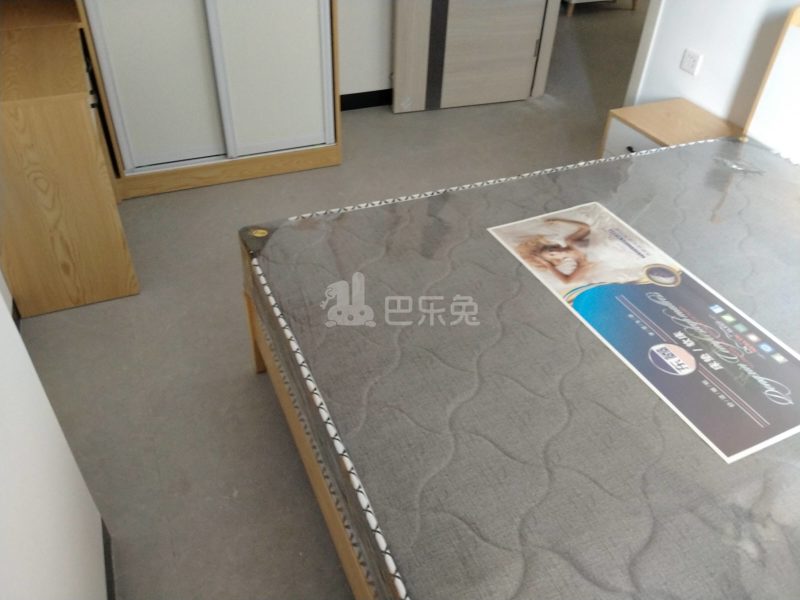 棠溪大围鸭乸塘西街47号8467240卧室图5