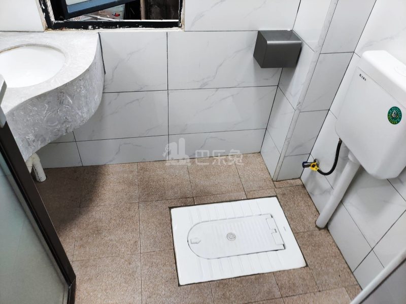 棠溪大围鸭乸塘西街47号8467241卫生间图4