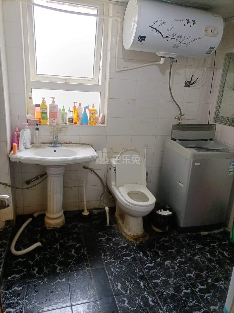 新梅共和城8066513卫生间图8