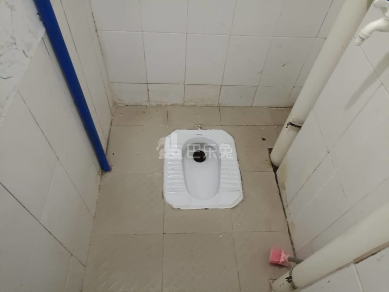 三元里棠溪南天九巷10号8513447卫生间图9