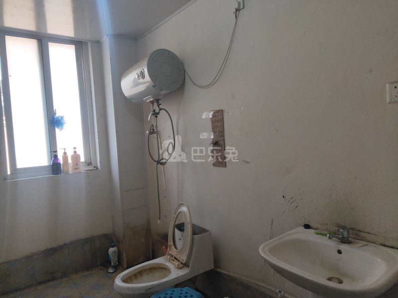 集善新村8542234卫生间图6