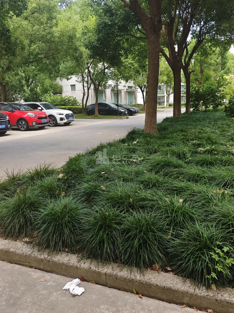 月泉湾名邸8584525周边环境图19