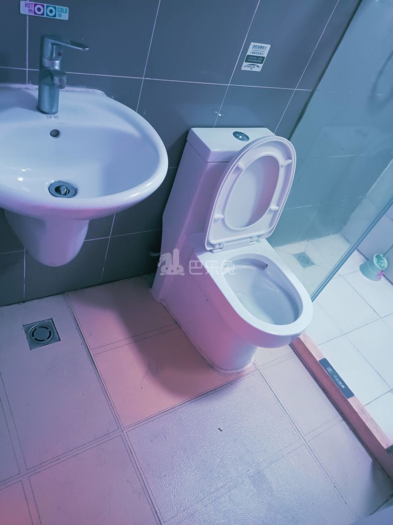 新市南路517号8602725卫生间图6