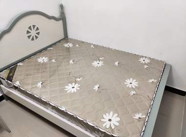 横滘大街117号 1室0厅1卫