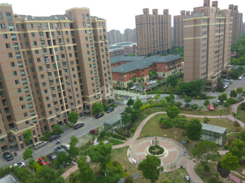 古楼新苑西区1682162周边环境图12