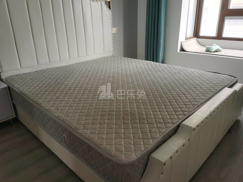 浦发东悦城8669994卧室图11