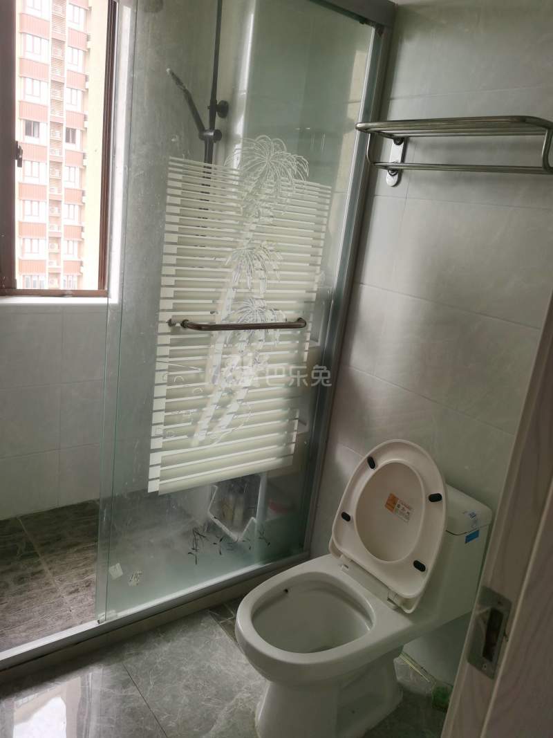 浦发东悦城8669994卫生间图29