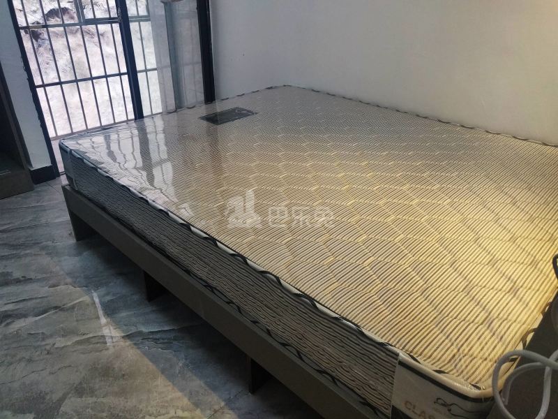 沙东街道范屋村31号8676661卧室图6