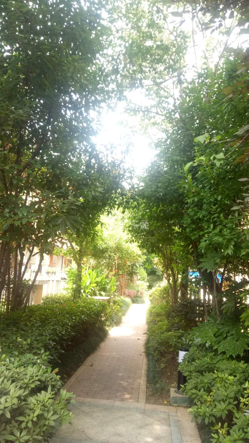 龙湖蔚澜香醍（云谷路1388弄）8682905周边环境图14