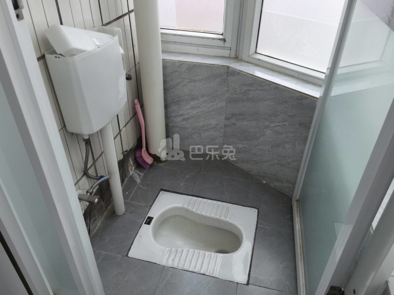 嘉宸公寓（向南东村87栋）8684891卫生间图7