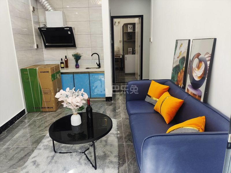 礼村西路一街9号之一8689916客厅图5