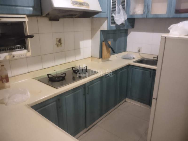 新青浦花苑2区9669201厨房图7