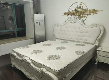 正阳世纪星城居礼苑（奉贤） 