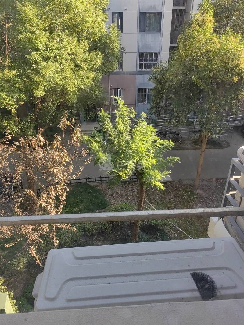 博学家园8731045周边环境图11