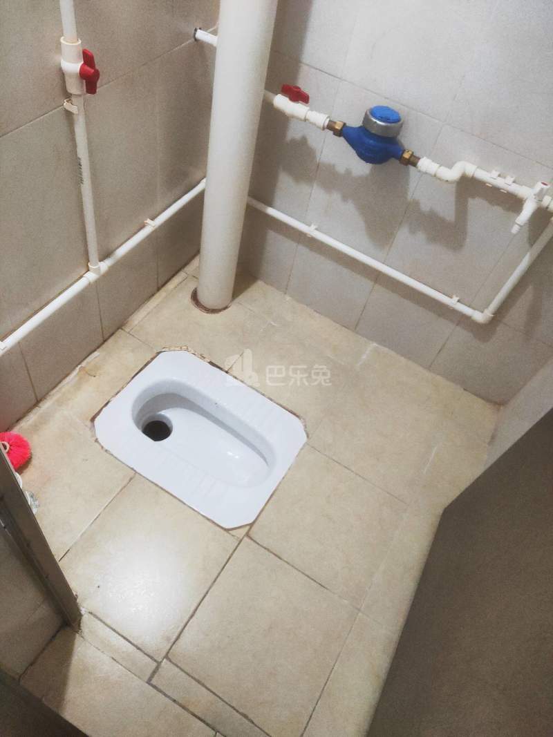 车陂大塘街二巷6号8749193卫生间图10