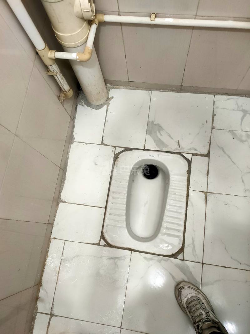 嘉禾望岗联边彭上新村南八巷9号8758862卫生间图11