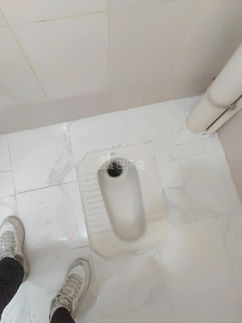 嘉禾望岗联边彭上新村南八巷9号8758970卫生间图11