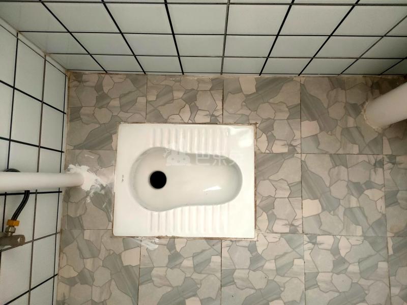 望岗西岭路六巷17号8766128卫生间图4