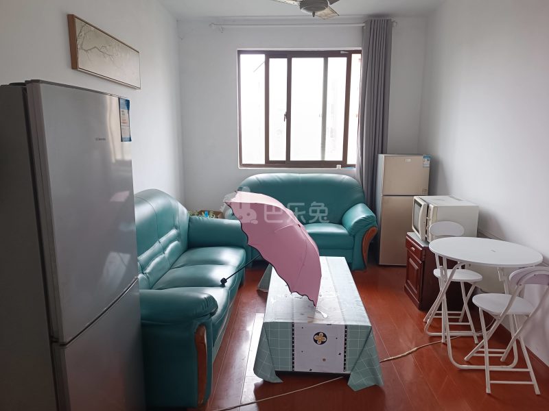 崧泽华城秀景苑3期8766320客厅图6