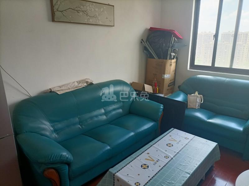 崧泽华城秀景苑3期8766320客厅图7