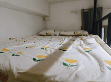 珠村柴栏田北社四巷13号 