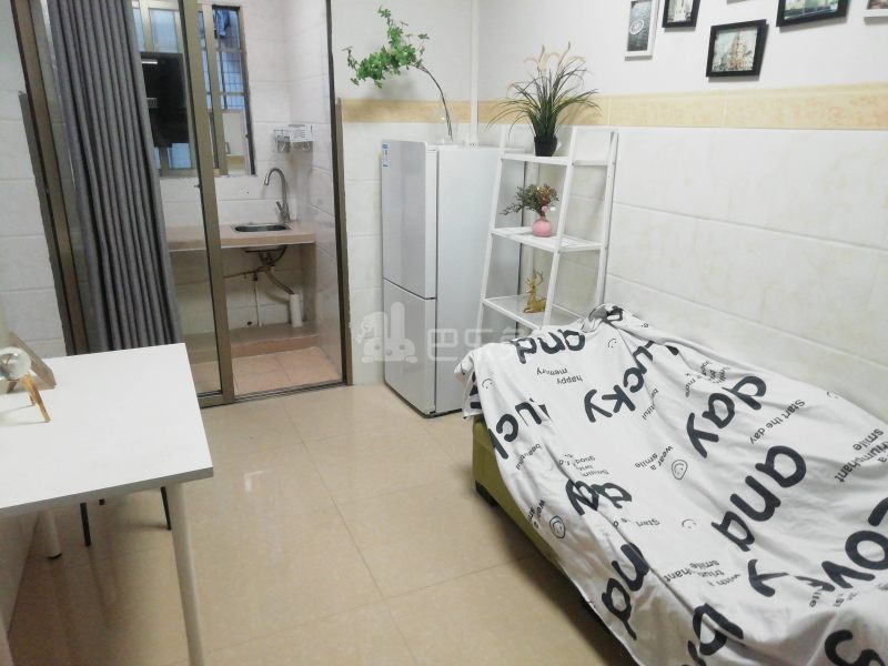 珠村柴栏田北社四巷13号8766345客厅图5