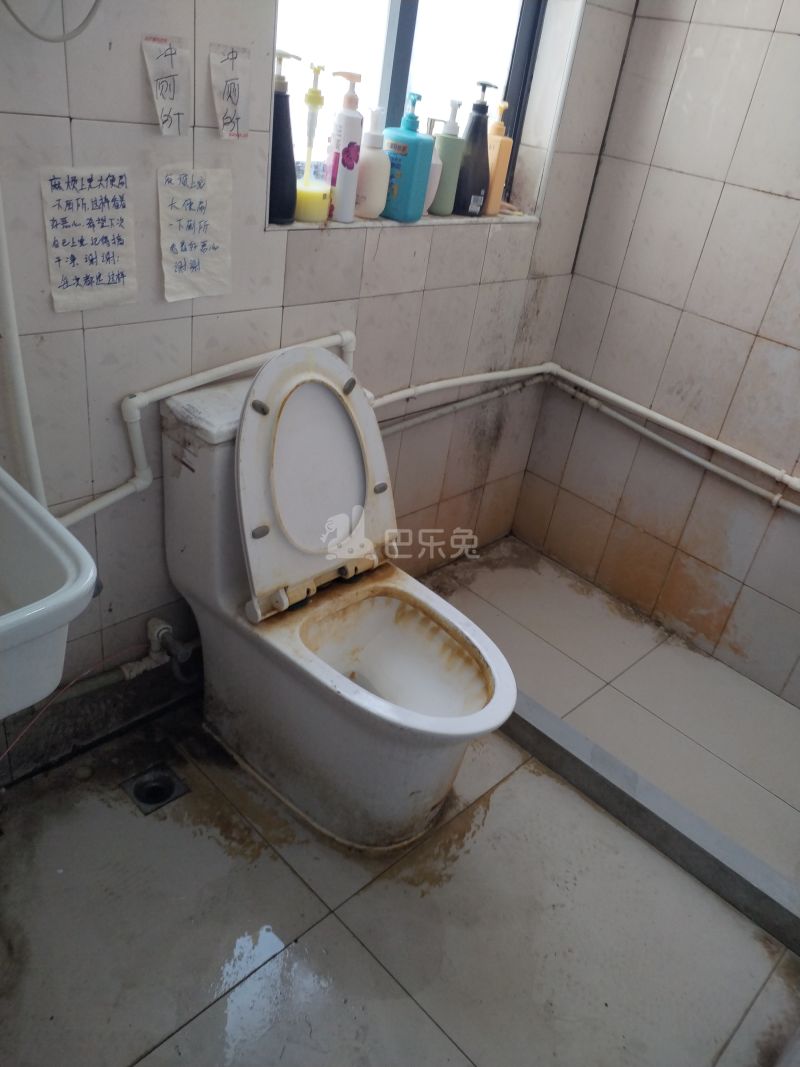 华泾绿苑5185804卫生间图7