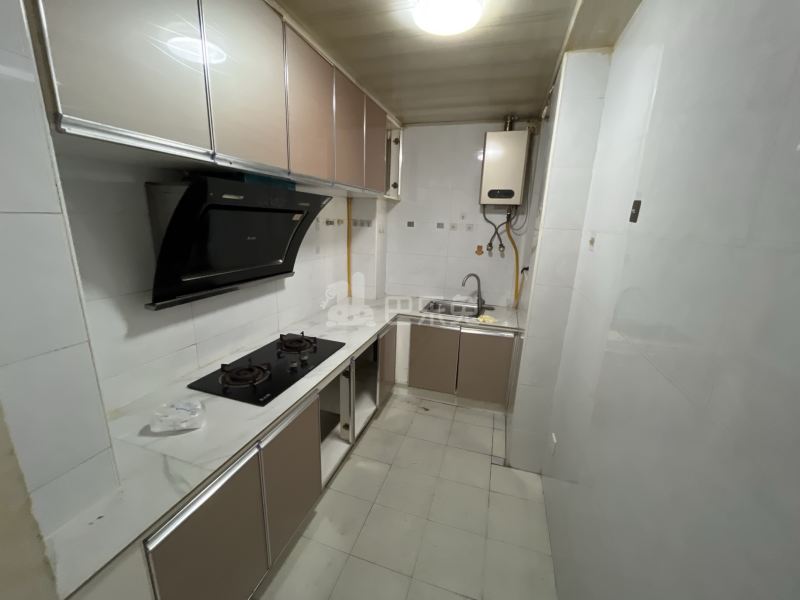 崧泽华城青湖苑（崧泽绿地E区）8817345厨房图9