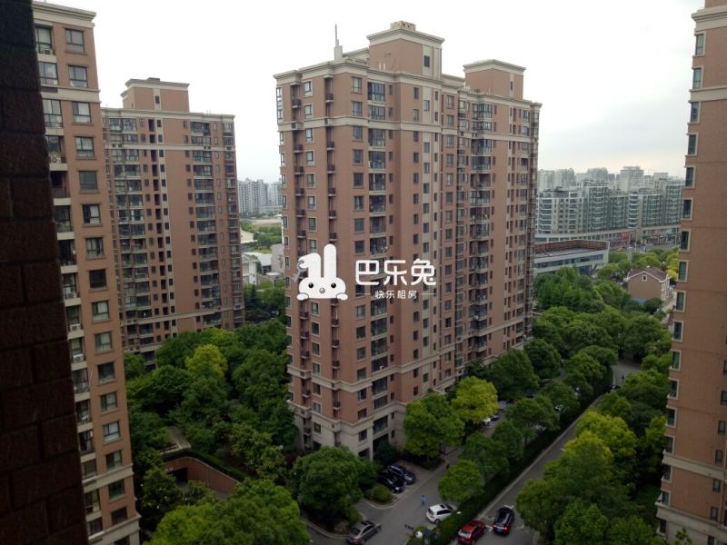 浦东出租房 周浦出租房 印象春城             发布人