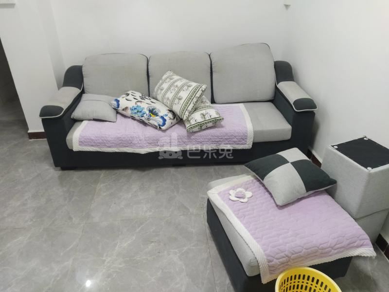 棠下东三街33号8860121客厅图4