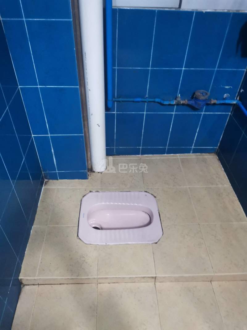 马务东头西街21号8890960卫生间图7