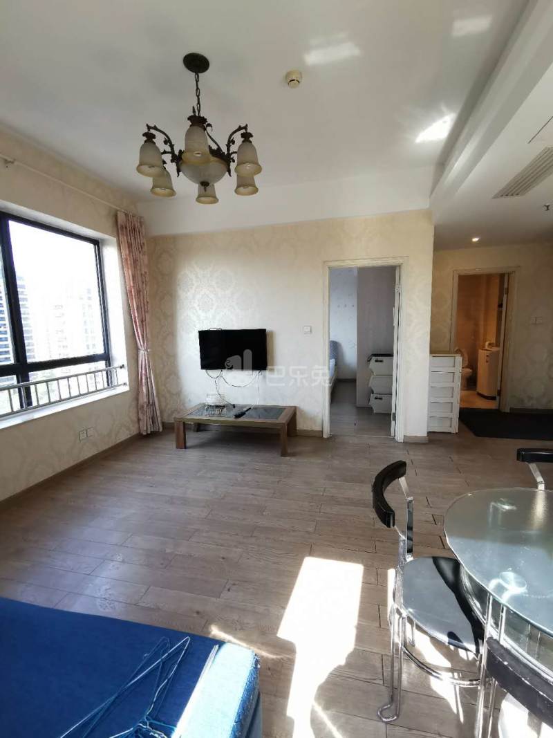 华彩国际公寓8900323周边环境图7