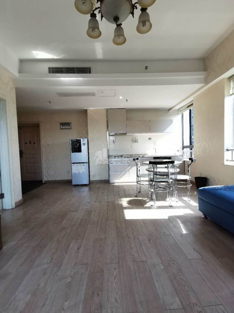 华彩国际公寓8900323周边环境图9