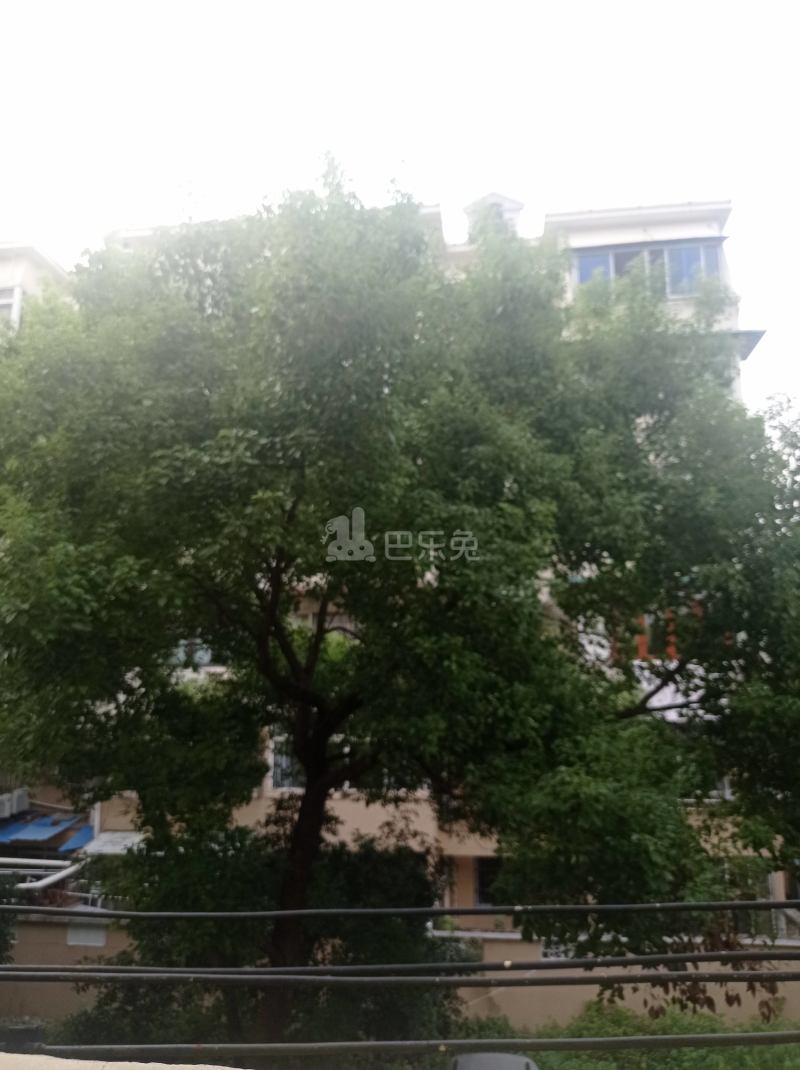 宝南新村8925423周边环境图6