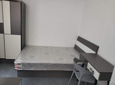 镧泊公寓（隆兴公大街九巷10号B栋） 1室1厅1卫