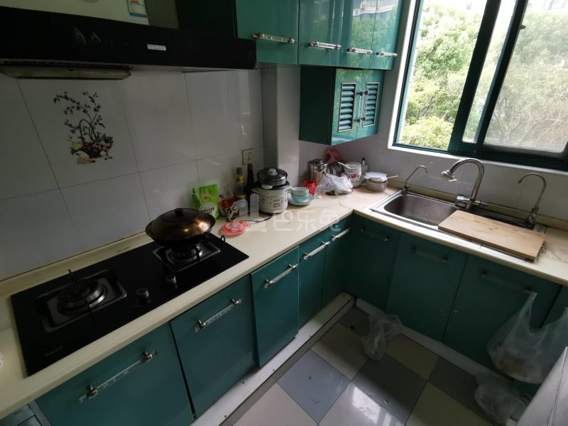 华丽家园8956481厨房图7