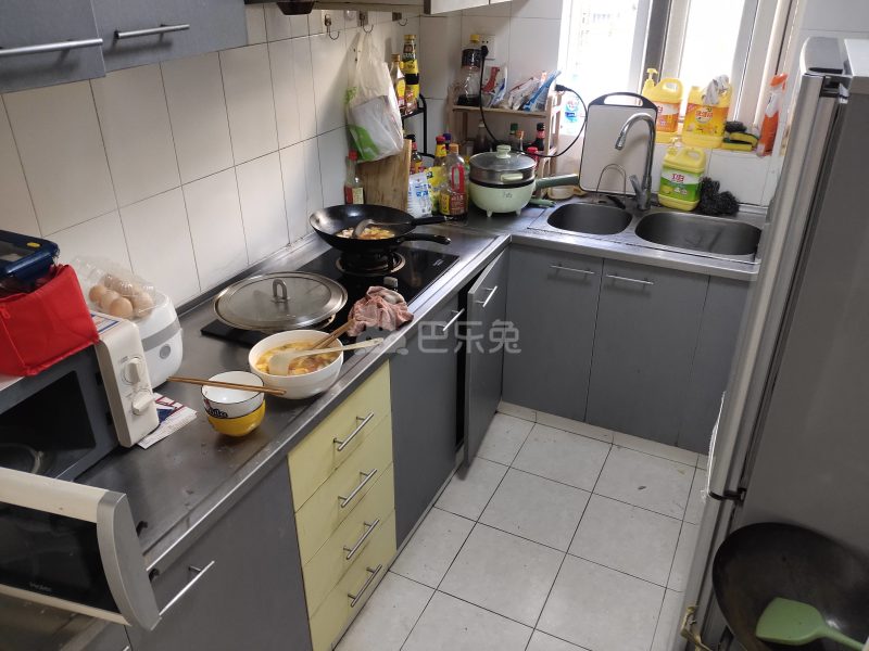 金祥苑（柳州路628弄）8956654厨房图13